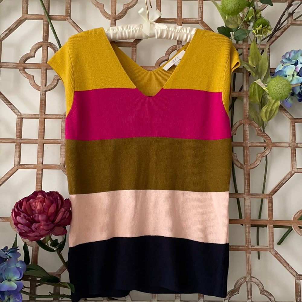 LOFT Multicolor Striped V-Neck Top